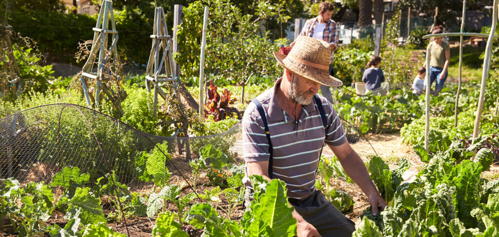 People Gardening