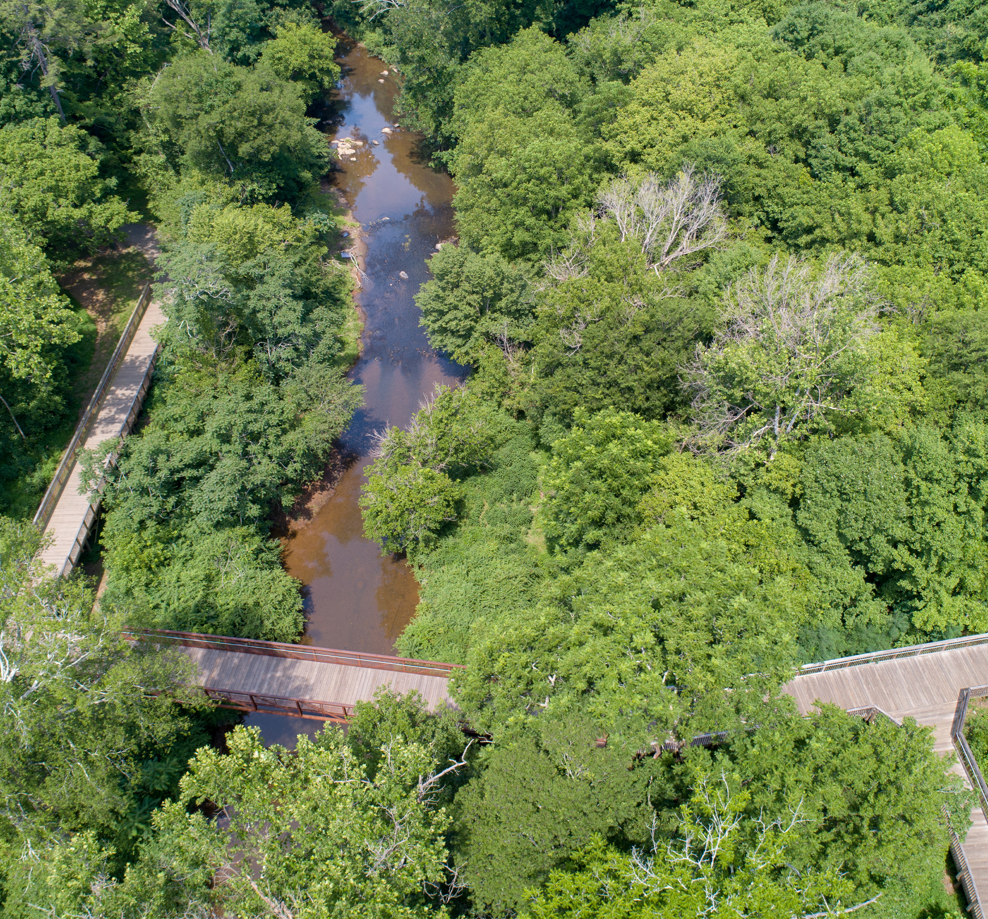 Town of Hillsborough Riverwalk showing it crossing water.