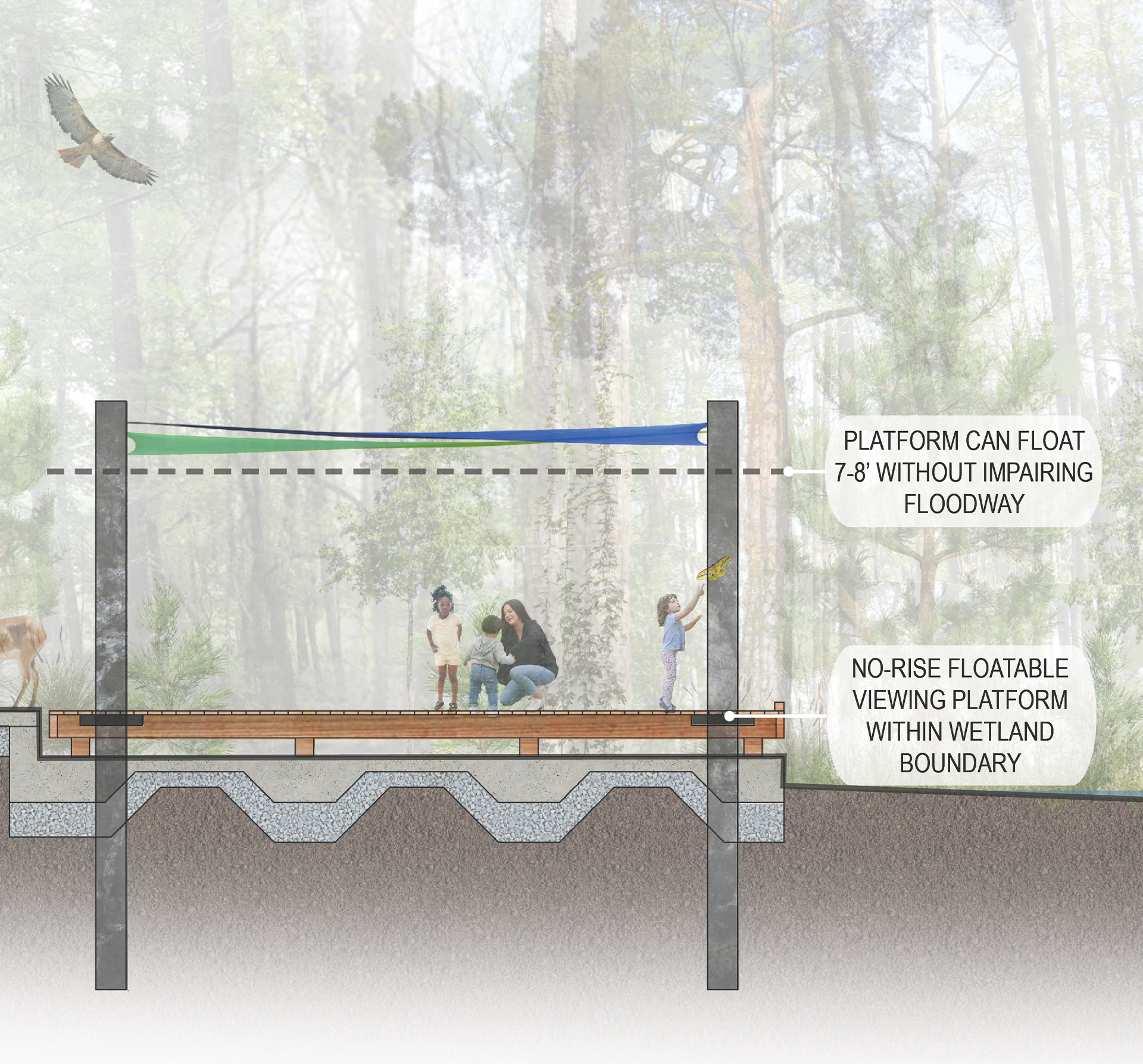 NC Wetlands Park at Walnut Creek - Structural Engineering, Water Resources, Transportation Design, Landscape Architecture