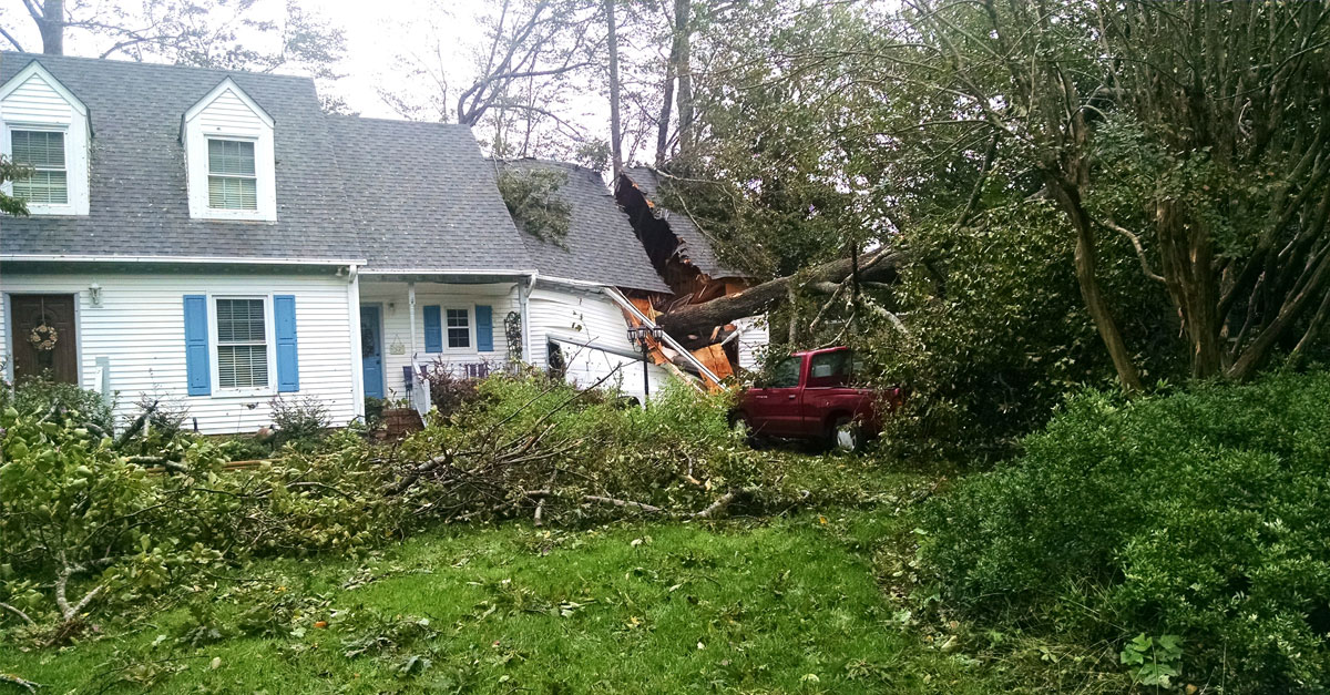 Tree Fallen on House