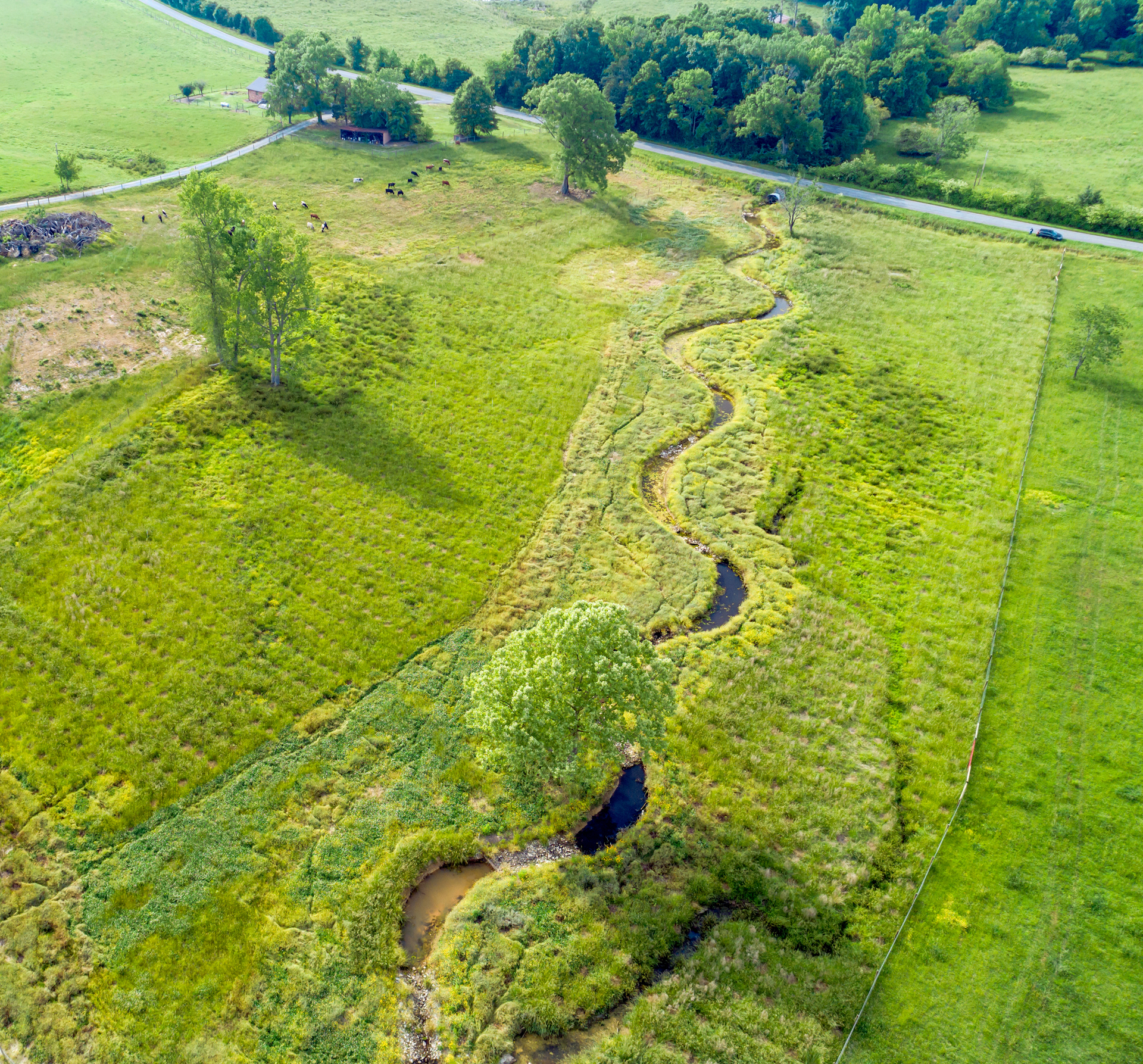 Sandy Branch Stream Restoration - Surveying & Geomatics