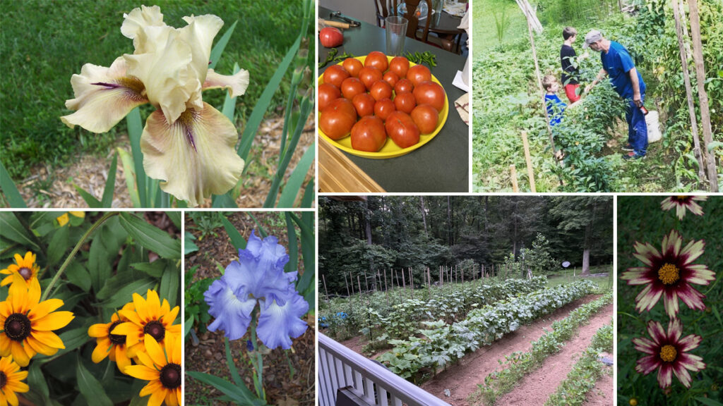 Gardens and Flowers - Talent Beyond the Desk