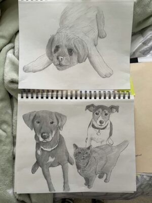 Pencil sketches of dogs and cats.