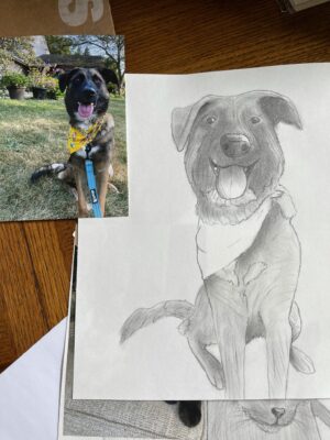 Pencil sketch of a dog.